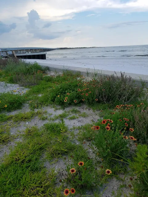 Fort Matanzas National Monument Inlet East Parking Lot