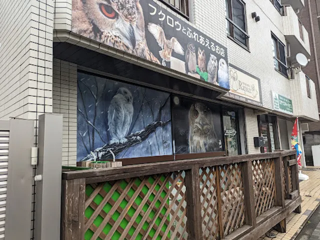 Owl Cafe - Rapace