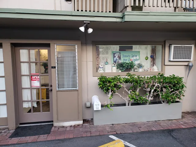 Beauty Salon For Doggies LLC