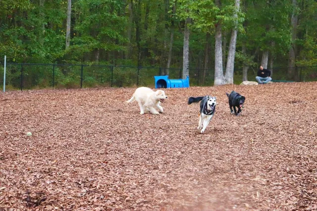 East Clayton Dog Park