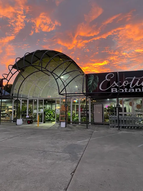 Exotic Botanic Royston Park