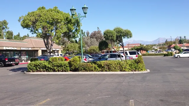 Towne Centre Village