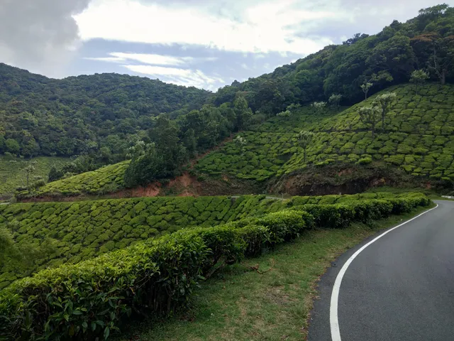 Mountain Cottage & Rooms