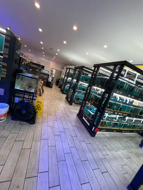 R.O. Aquatics & Exotics