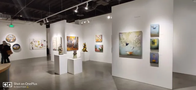 Patricia Rovzar Gallery