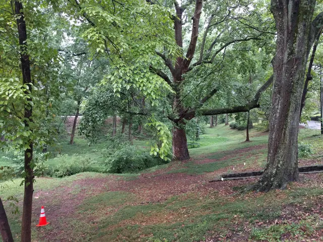 Hessie T. Morrah Park