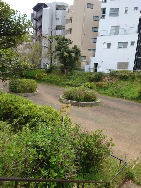 photo-1
