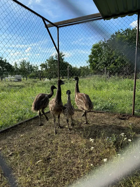 Zoofarma - Penzion Konírna