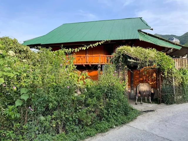 Sapa Authentic - Hmong - living - homestay and trekking tour