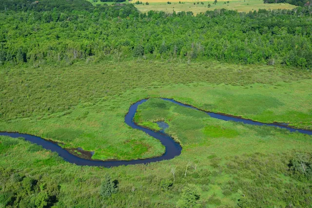 Cedar Creek Ecosystem Science Reserve