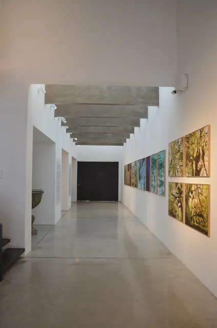 Galeria Ricardo Von Brusky
