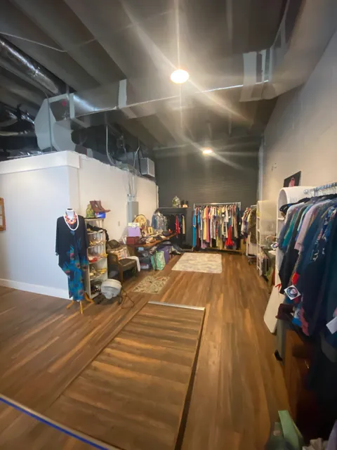 Peaceful Peacock Orlando