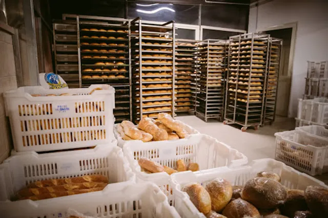 Bistrot Panificio Pavib