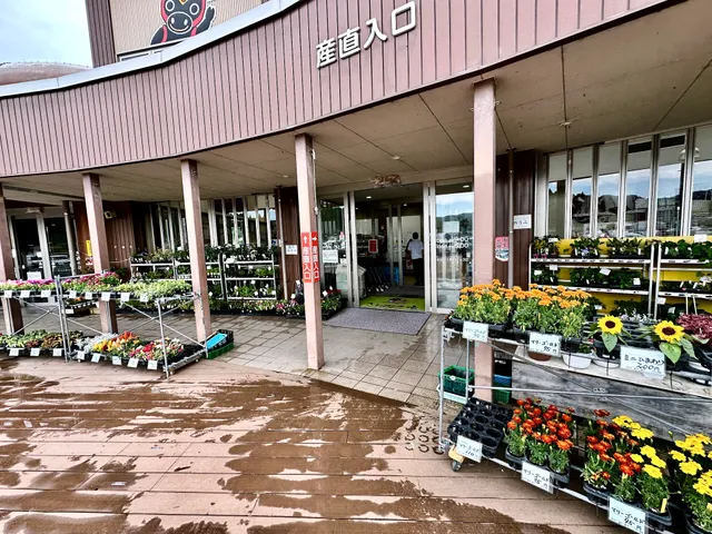 Sanchoku Corner Kitahiro Market