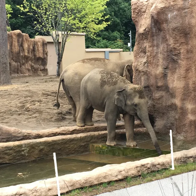 Sapporo City Maruyama Zoo