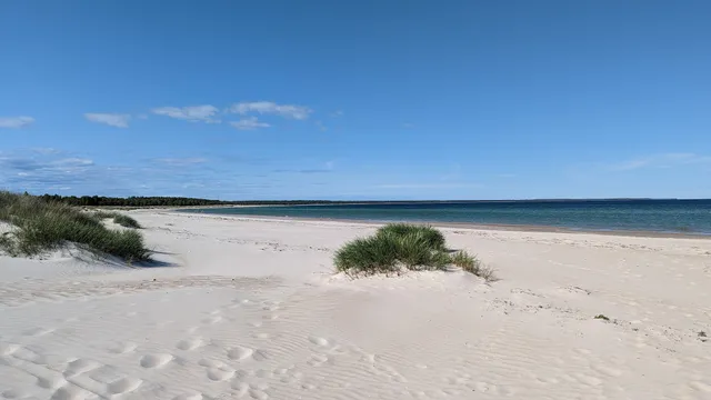Böda Beach