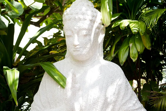 Spa Natural Center by Flavio Acuña