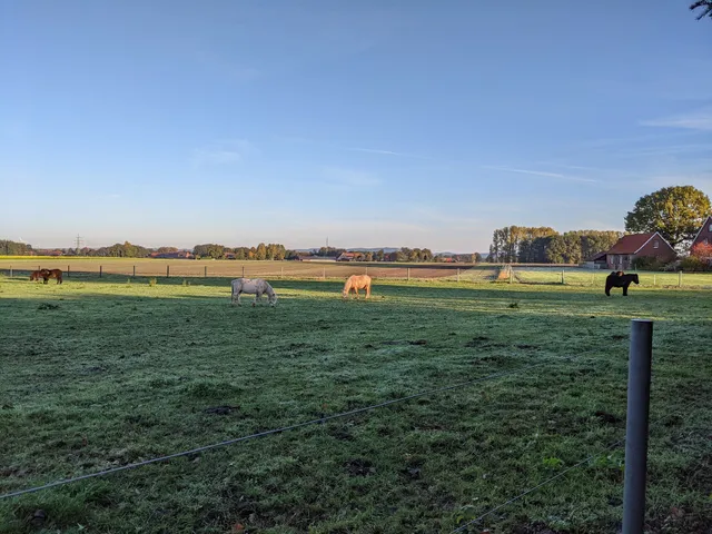 Ponyhof-Pension Hartmann