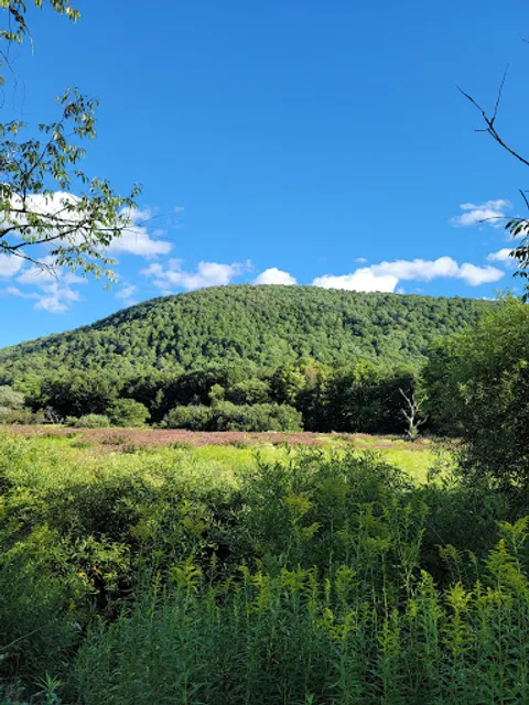 Catskill Scenic Trail