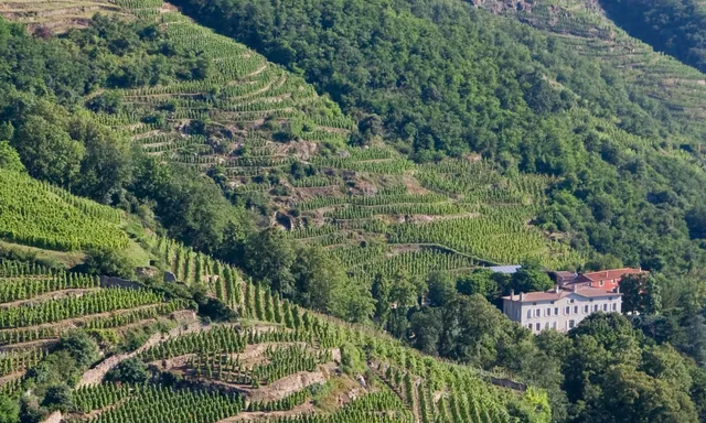 Domaine de Corps de Loup