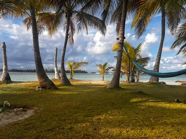 Morrodub (Turtle Island)