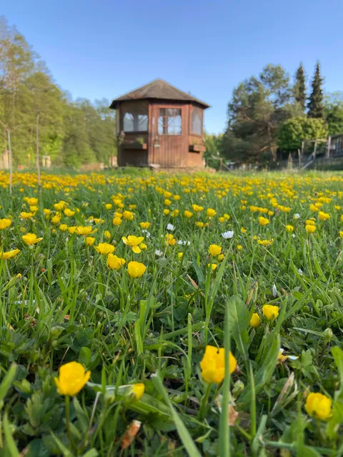 Ferienhaus / Ferienwohnung "Sötenicher Mühle"