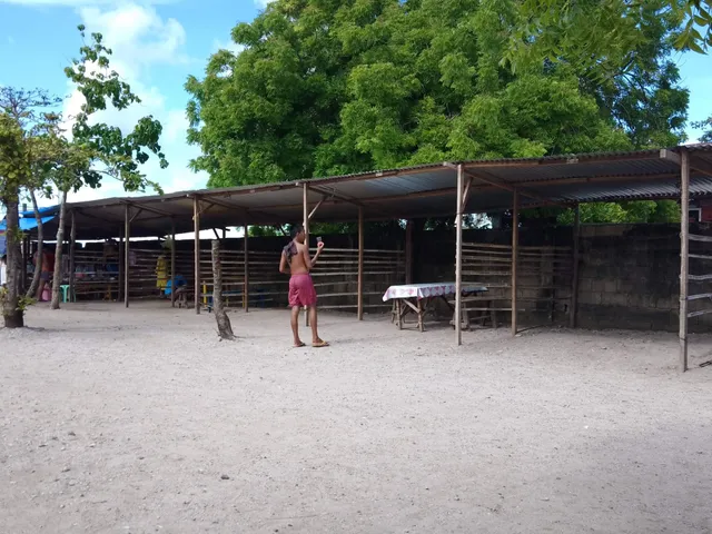 Macario Beach Resort