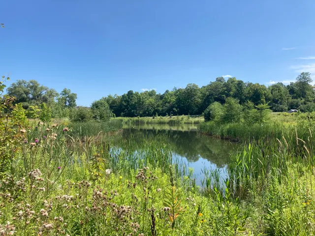 Jonathan Bales Parkette