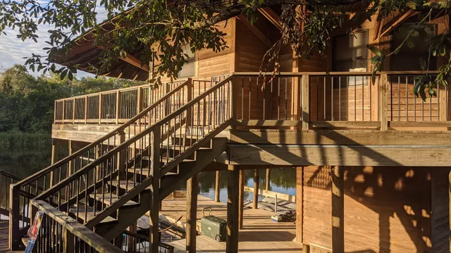 The Bird’s Nest on the Cane