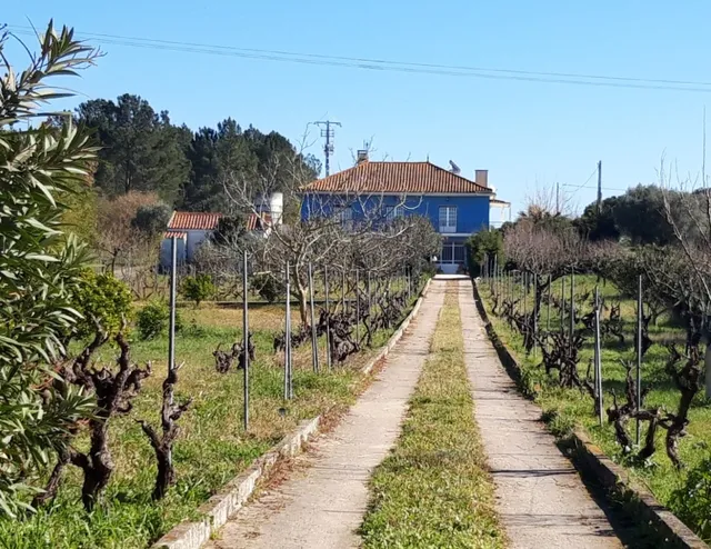 Casa Azul , Tomar Portugal