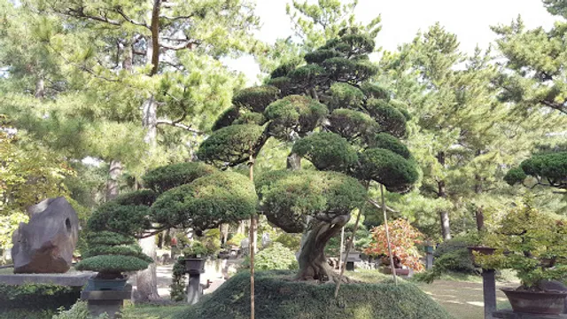 세러대이아일랜드