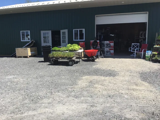 GMR Bargains and More