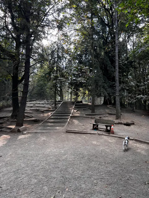 Lower Woodland Dog Park Off Leash Area