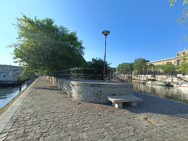 Saule Pleureur de la Pointe