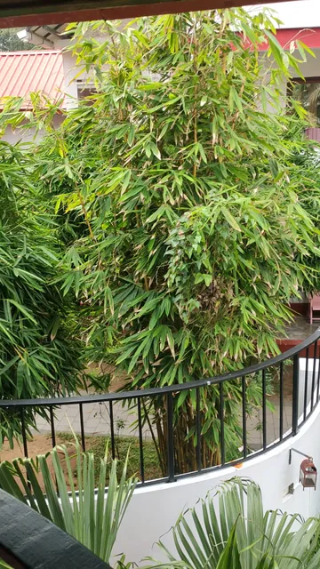 Le Petit Elephant-Cherai Beach Resort Kochi