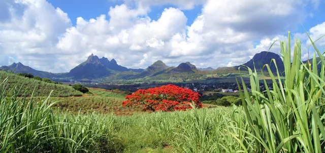 Nature Trails Mauritius - Deutschsprachige Ausflüge auf Mauritius