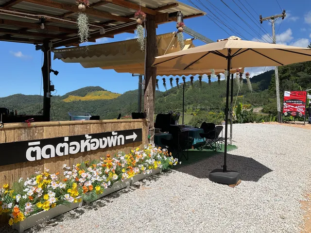 “THE WILL”-glamping & camping-