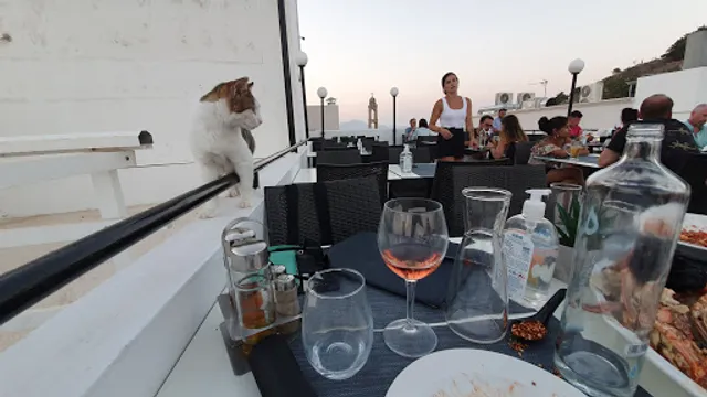 Acropolis Roof Garden Restaurant