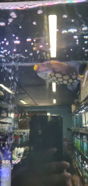 Rudy's Eastgate Shopping Center