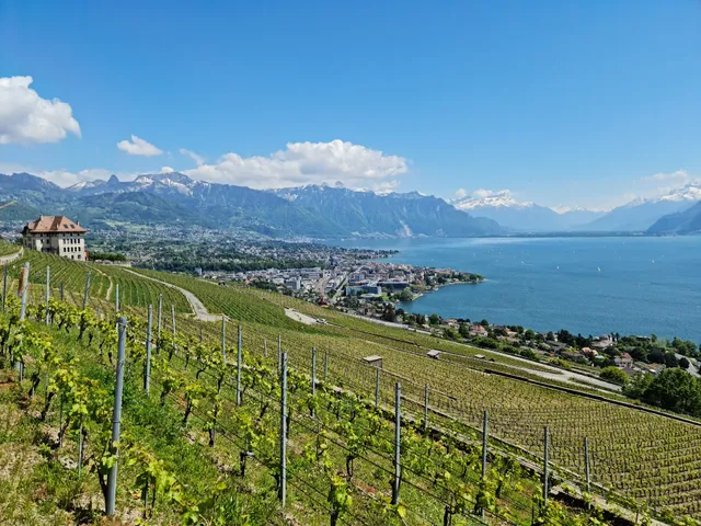 Bourg-en-Lavaux