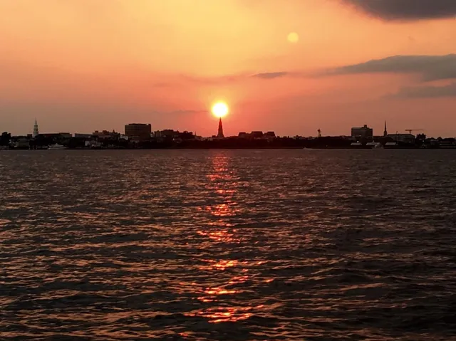 Harborview Charters-Boat Tours