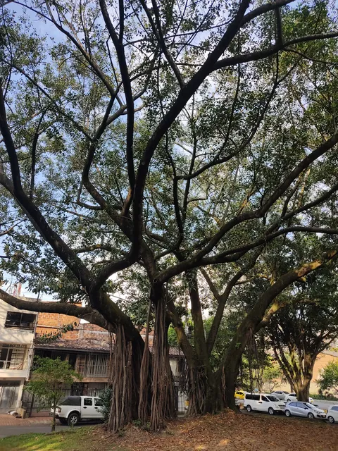 Infantil San Pablo Park