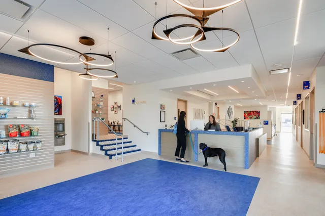 Mainstay Veterinary Practice