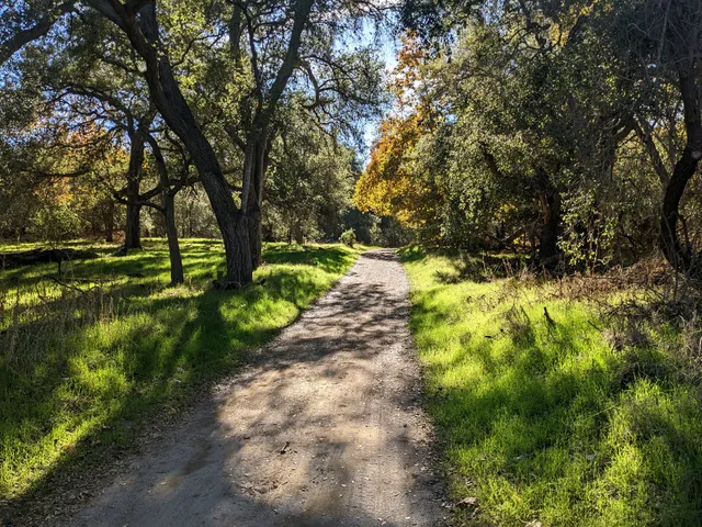 Arroyo Trabuco Trail - O'Neill Regional Park