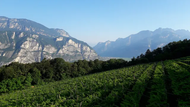 Agritur Maso Toldin Devigili Ferruccio - Farm, Farmhouse