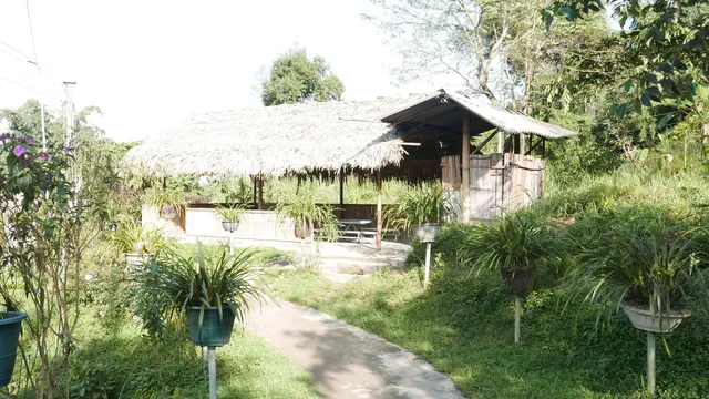 Du lịch Cộng Đồng Lao Chải 01 - Tam đường - Lai Châu