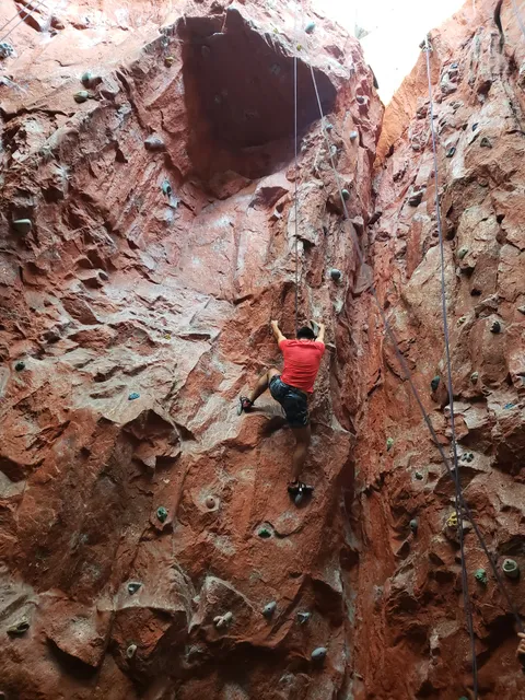 qi Yoga & Meditación