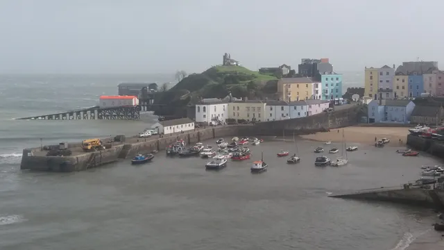 Seabass 209 Trewent Park