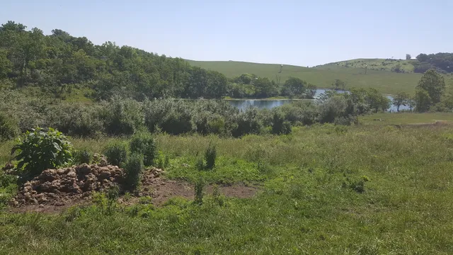 Ohio Power Company Pond 9615-010