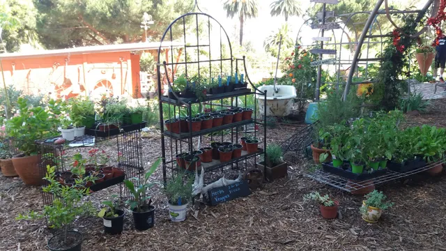 Valmonte Farm & Garden